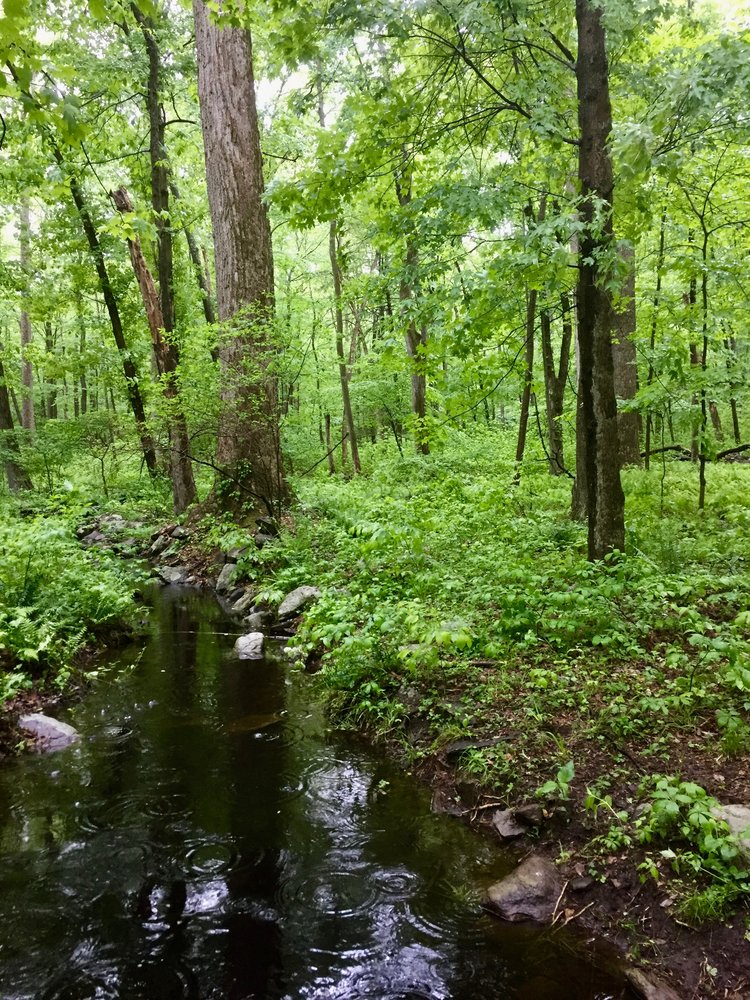 Hike Trout Brook Valley Preserve Sep 30, 2021 at 1000 Darien Mens
