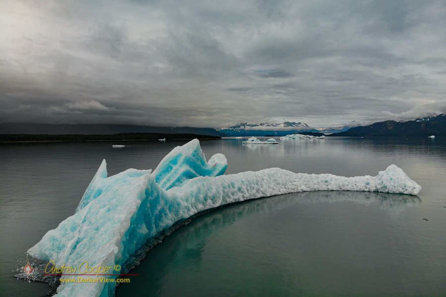 Icebergs on Harlequin Lake