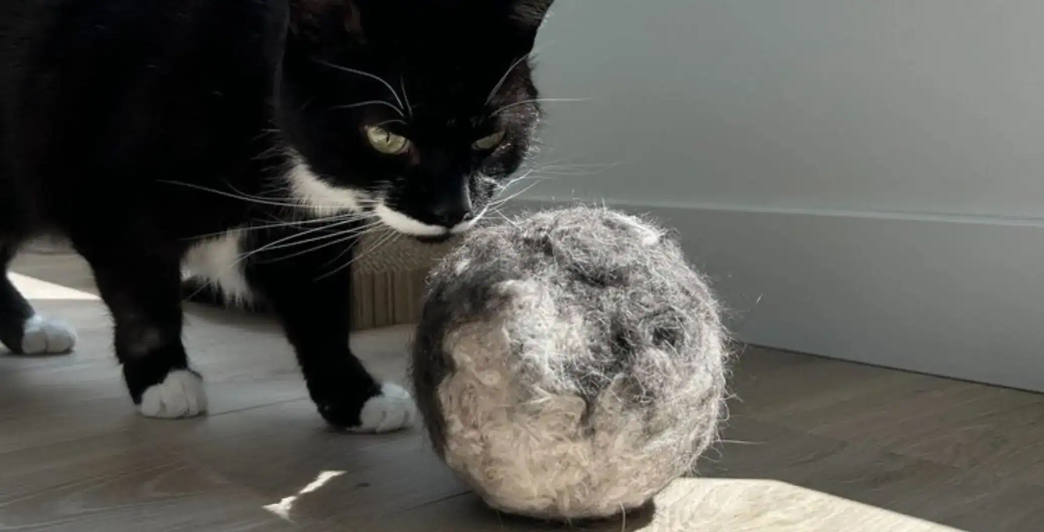 What Makes Fur Ball Toys the Perfect Stress Reliever for Cats Dark is