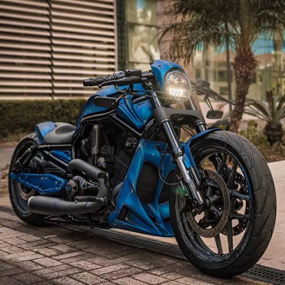 HarleyDavidson VRod Muscle custom for sale