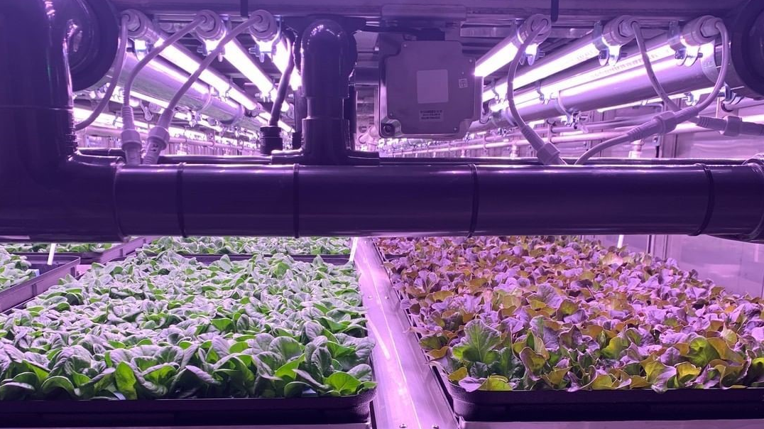 Top 10 LED Grow Light Manufacturers/Suppliers In The World Darkless