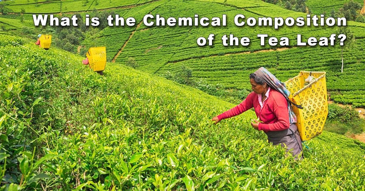 Darkley Tea Tea Leaf Chemicals