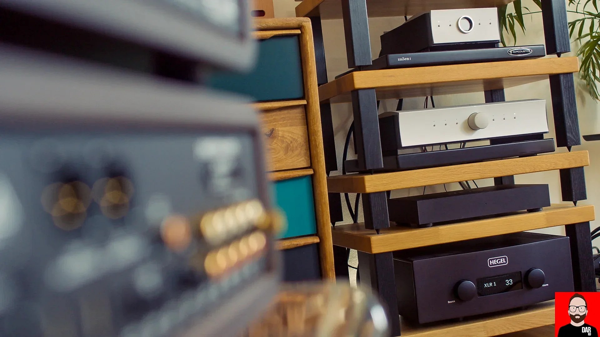 A short film about the Mola Mola Kula | Darko.Audio