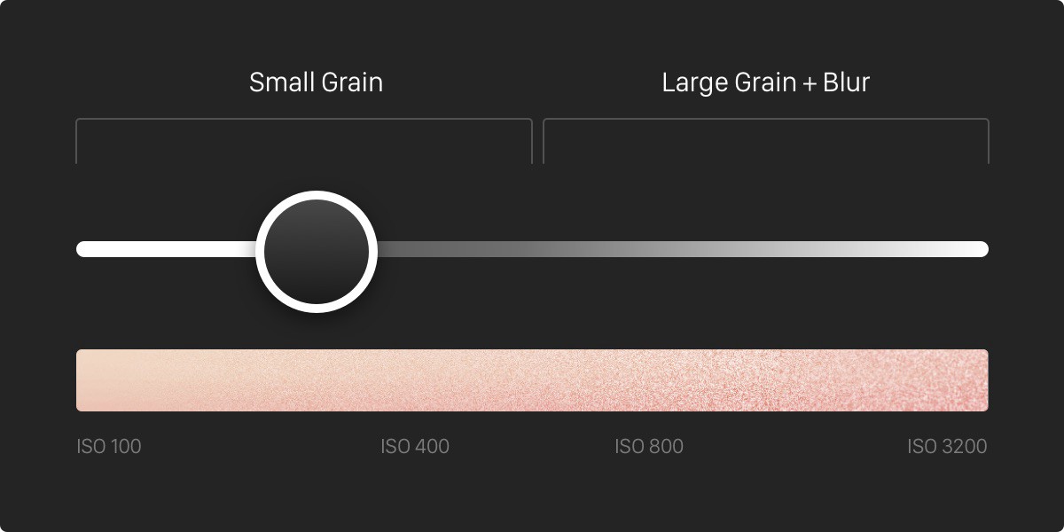 Grain & RAW+JPG Switching support. — Darkroom