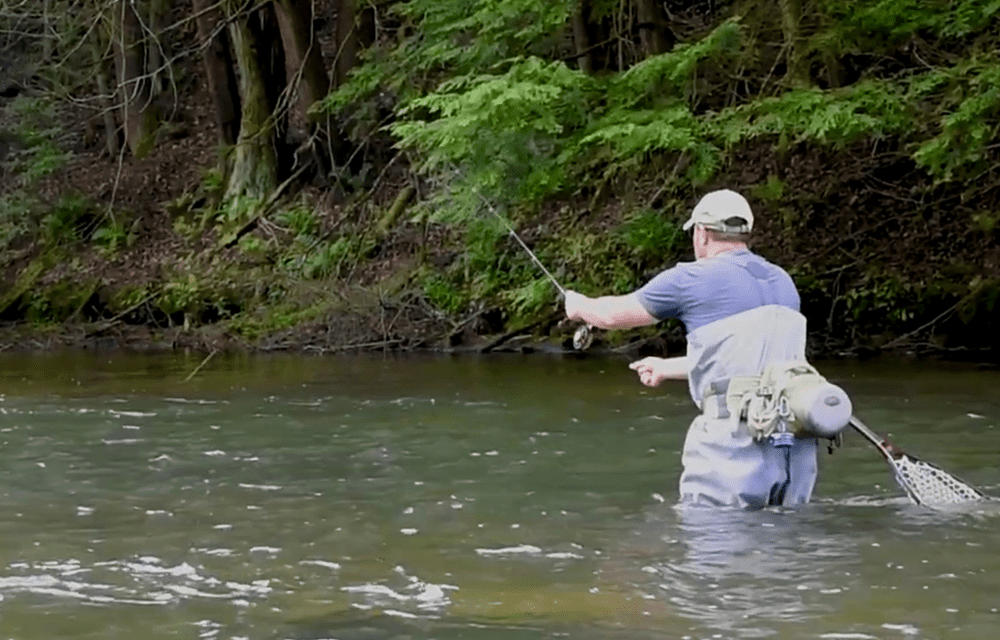 Is it a Riffle or Run...and Does it Even Matter? Nymphing Approaches