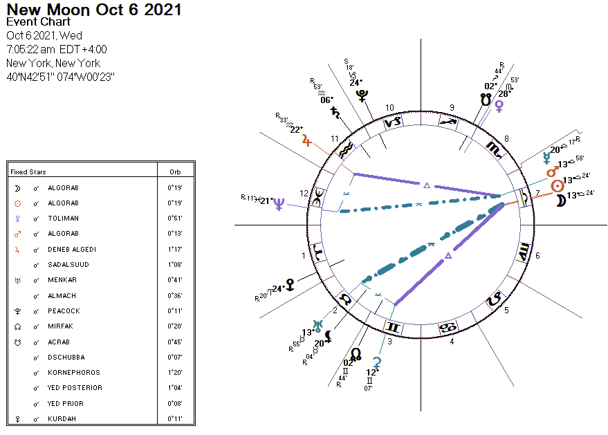 New Moon October 2021 Bird Omens By Darkstar Astrology