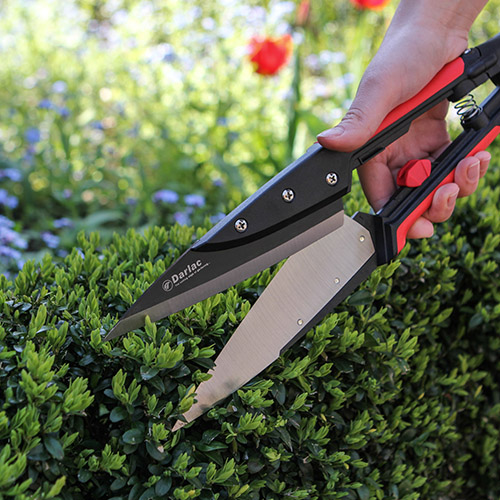 DP1850 Expert Topiary Shear Darlac Ltd