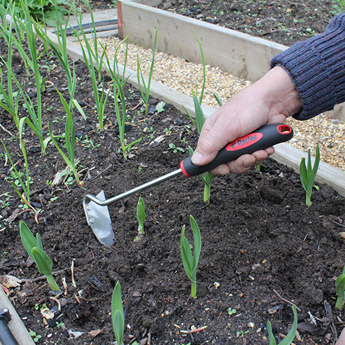 DP546 Onion Hoe Darlac Ltd