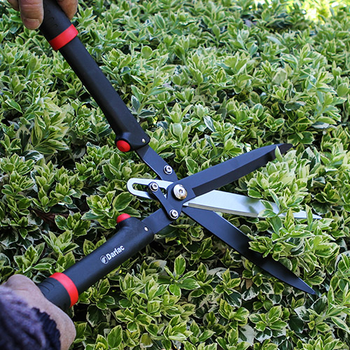 DP810 Telescopic Hedge Shear Darlac Ltd