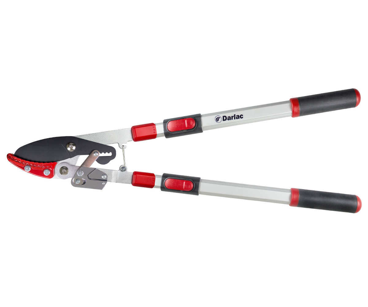 DP974 Heavy Duty Telescopic Ratchet Lopper Darlac Ltd