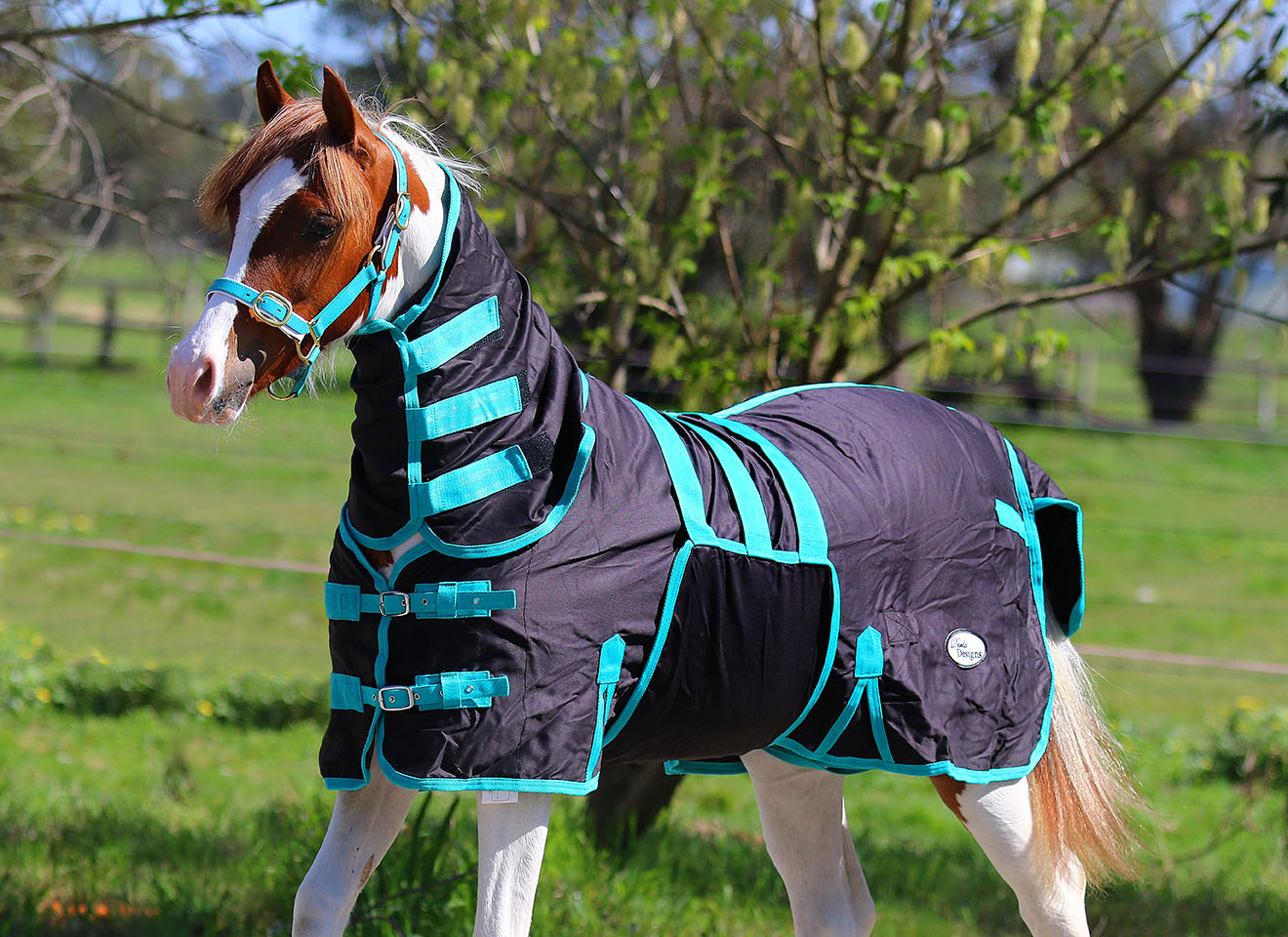 Rug features Darla Designs Rugs