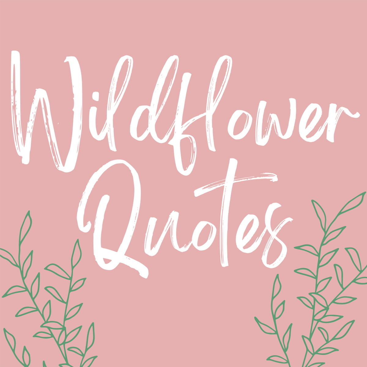 Inspirational Wildflower Quotes & Images Darling Quote
