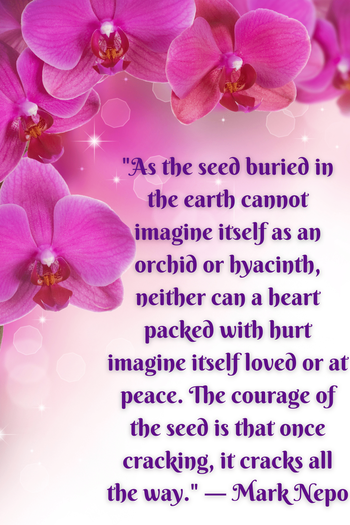 63 Unique Orchid Quotes To Help You Bloom Darling Quote