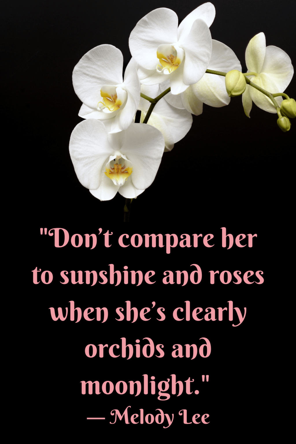 63 Unique Orchid Quotes To Help You Bloom Darling Quote