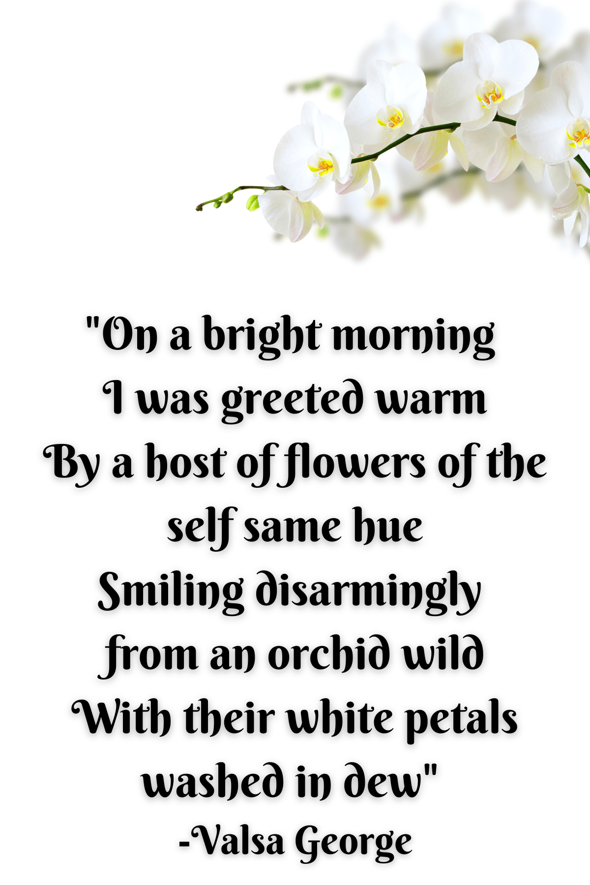 63 Unique Orchid Quotes To Help You Bloom Darling Quote