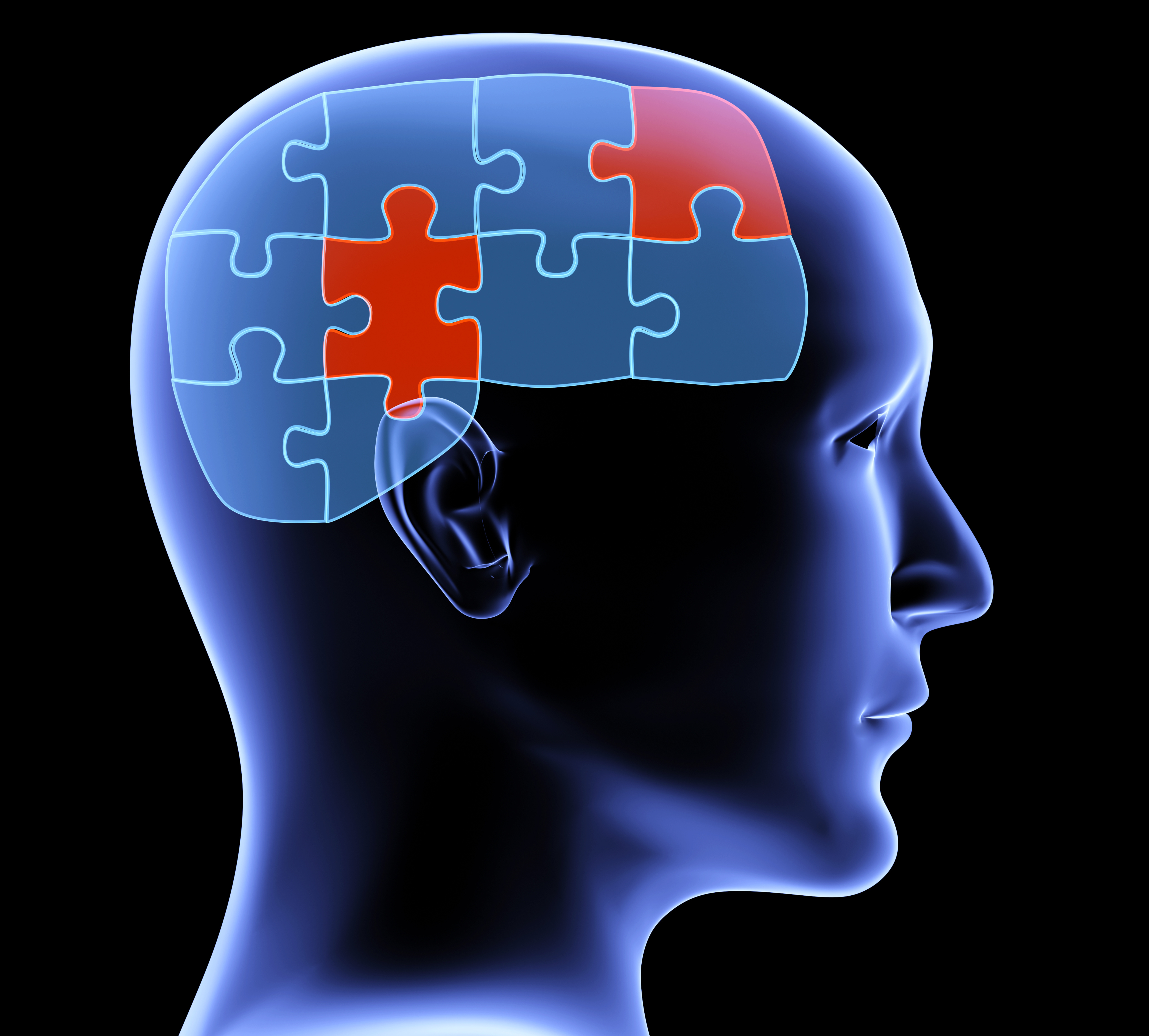 Human profile and brain in the form of the puzzle Darmiyan
