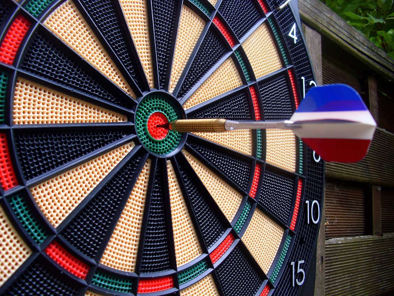 Which Darts Do Professionals Use? Secret Weapon Revealed!