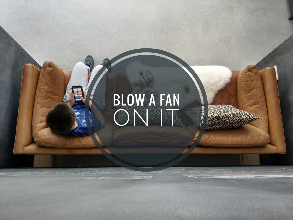 How To Wash A Sheepskin (it’s easier than you think). Dartmoor Sheepskins