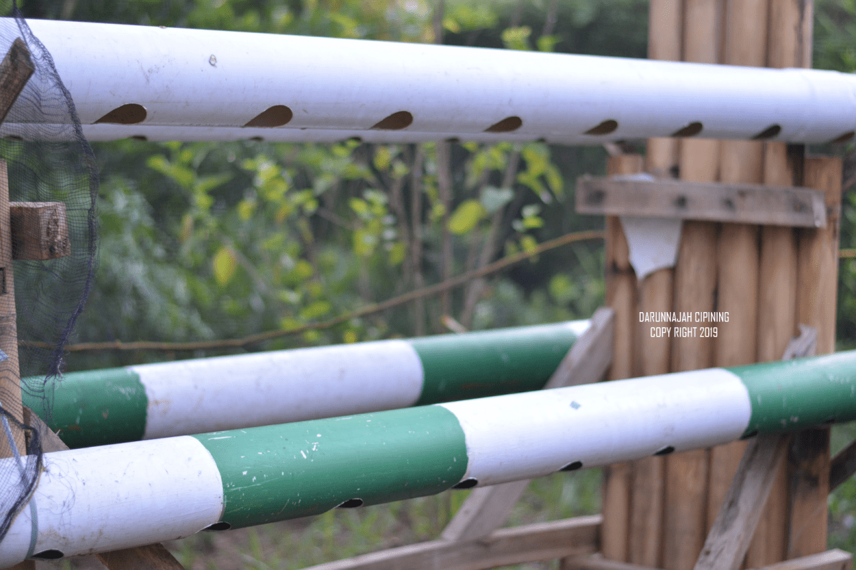 Santri Budidaya Tanaman Hidroponik. Sangat Inspiratif!