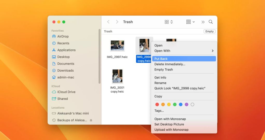 How to recover deleted files from Recycle Bin after empty without software Mac? Darwin's Data