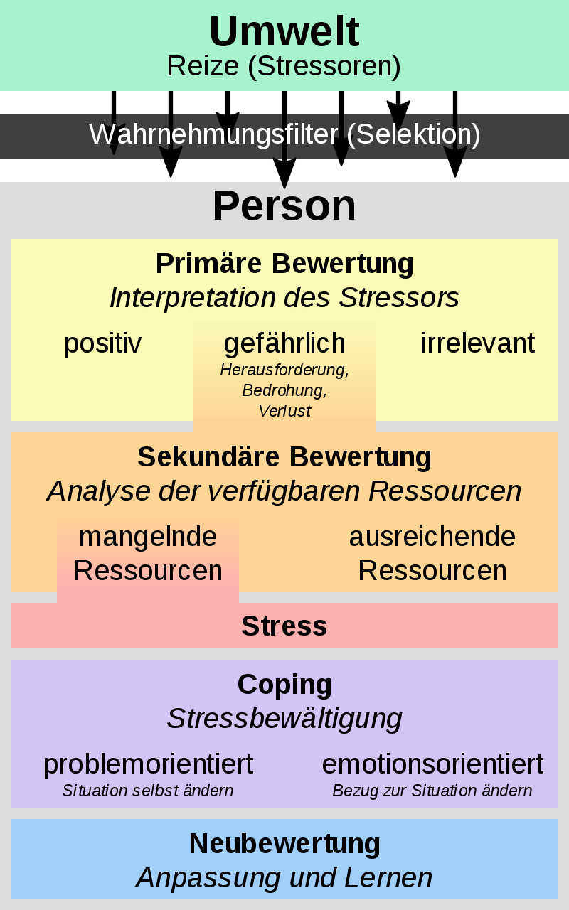 Stress macht gesund und fördert das Selbstbewusstsein Karriere