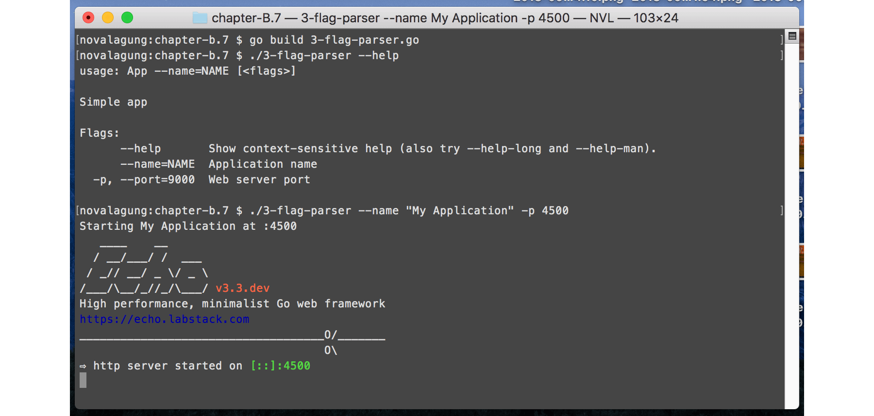 Golang CLI Flag Parser (Kingpin) Dasar Pemrograman Golang
