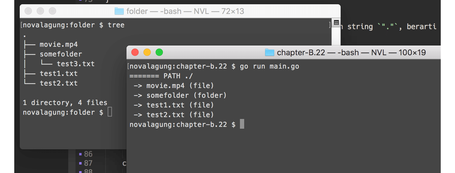 Golang FTP Dasar Pemrograman Golang