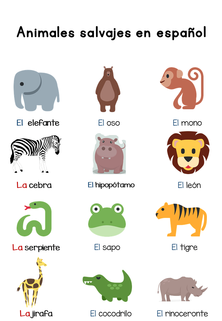 Animales salvajes en español – Wild Animals in Spanish-Basic Vocabulary