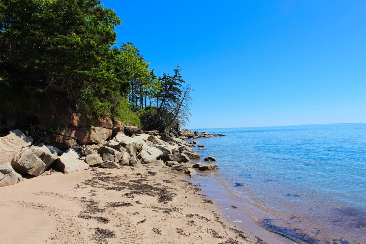 Pictou Island An OffTheGrid Paradise in Nova Scotia Dashboard Living