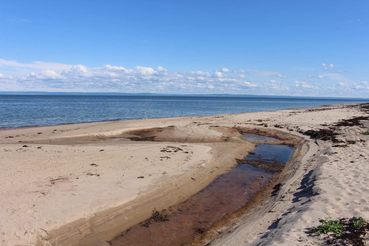 Pictou Island An OffTheGrid Paradise in Nova Scotia Dashboard Living