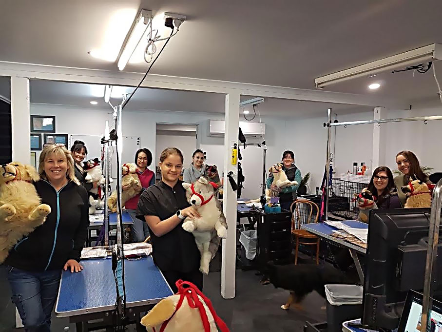 Dog Behaviourist Mornington Peninsula at Jose Phillips blog