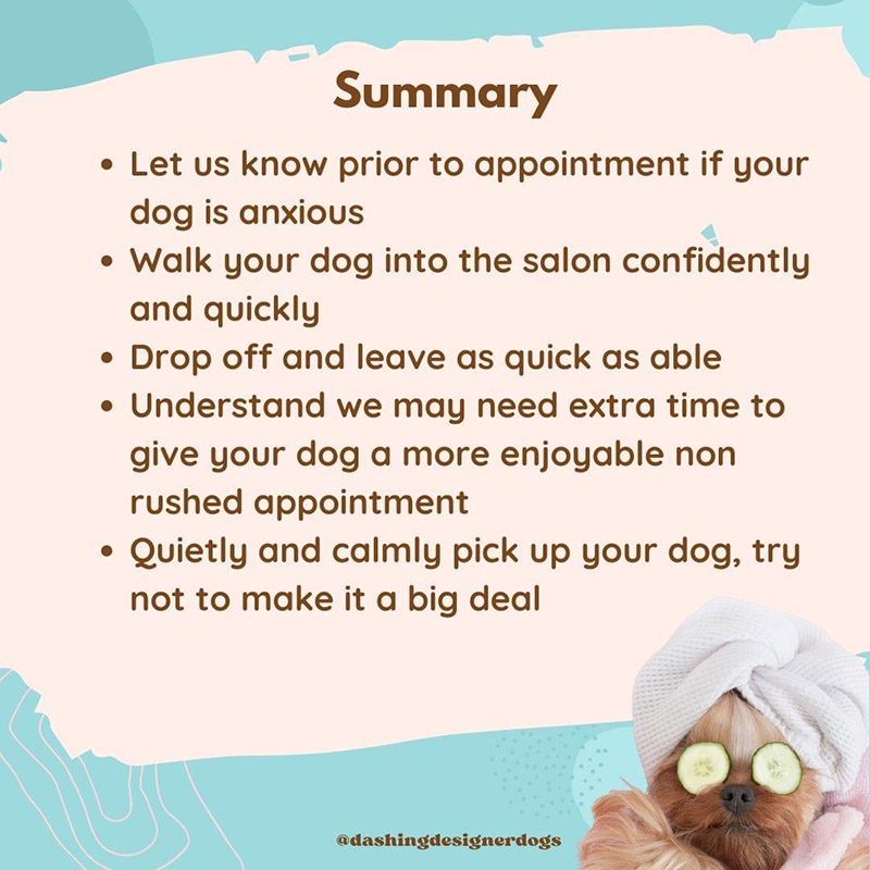 Tips Dog Grooming Mornington Peninsula Dog Groomers Mornington