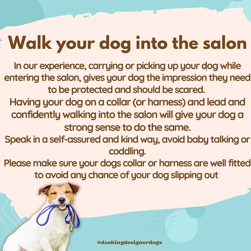 Dashing Designer Dogs Dog Grooming Mornington Peninsula