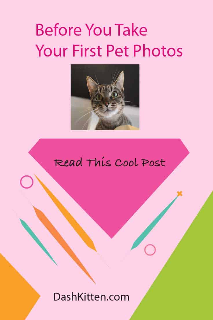 First Pet Photos
