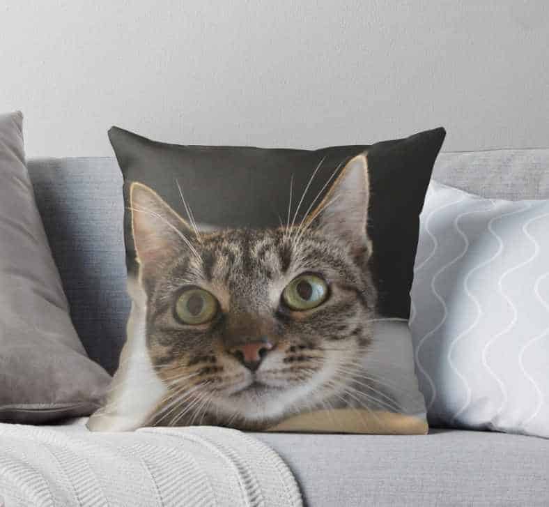 Cat Cushion with large furry face