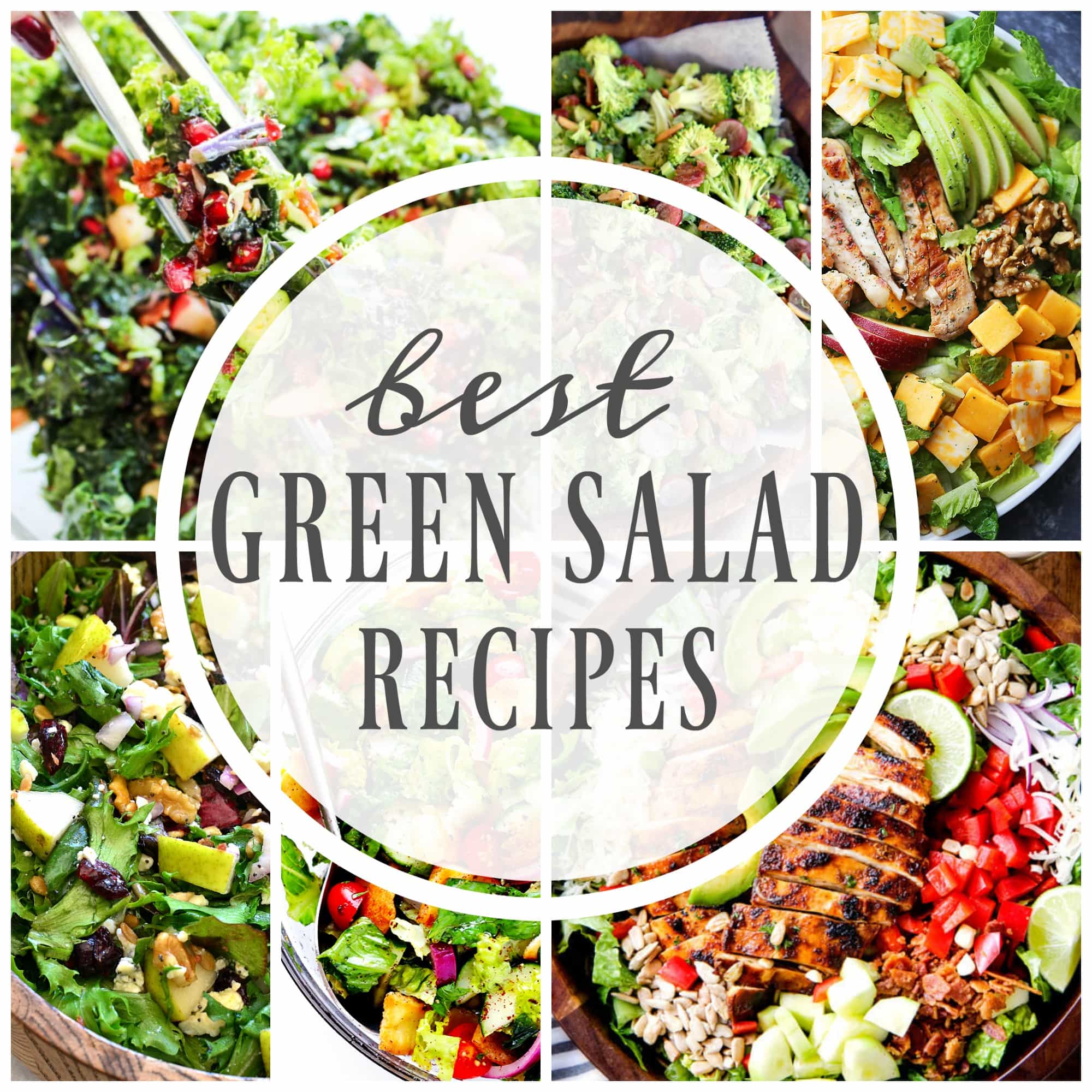 Best Green Salad Recipes A Dash of Sanity