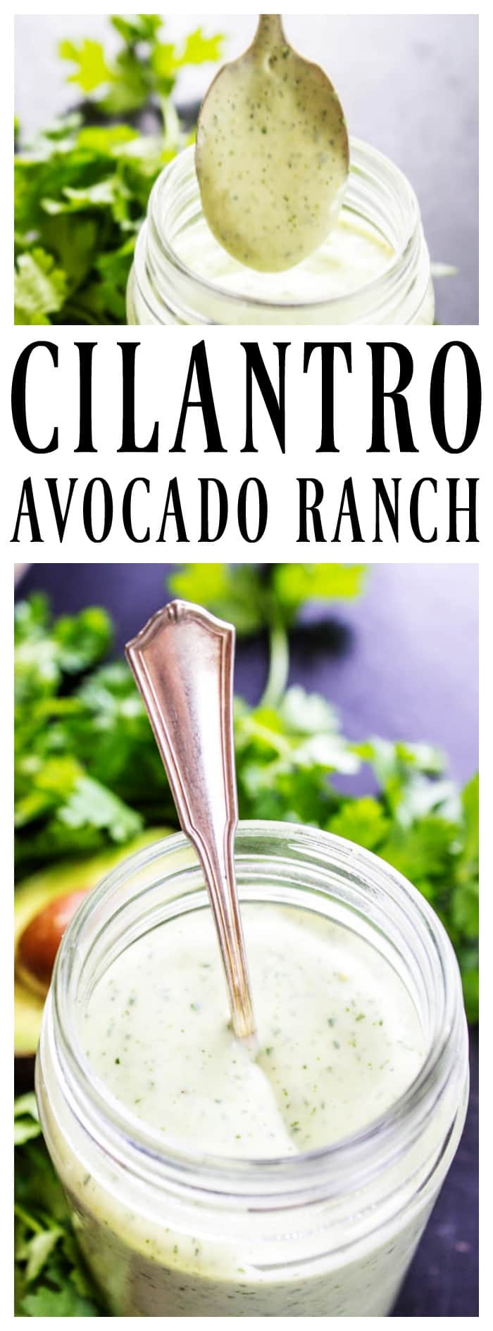 Cilantro Avocado Ranch Dressing A Dash of Sanity