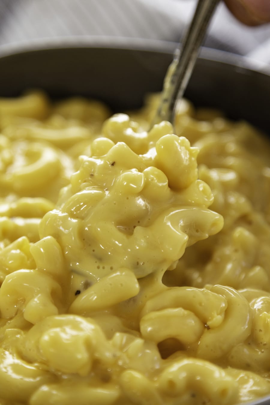 Velveeta Mac and Cheese Dash of Sanity(03)