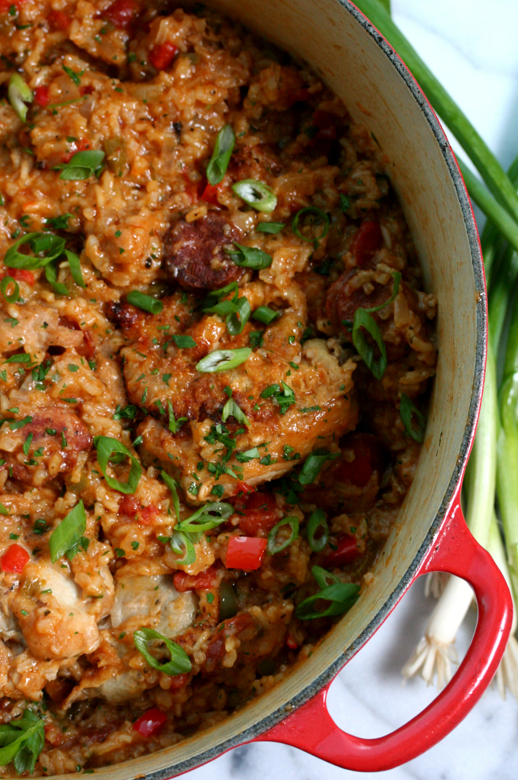 Cajun Creole Jambalaya Recipe | Dash of Savory | Cook with Passion