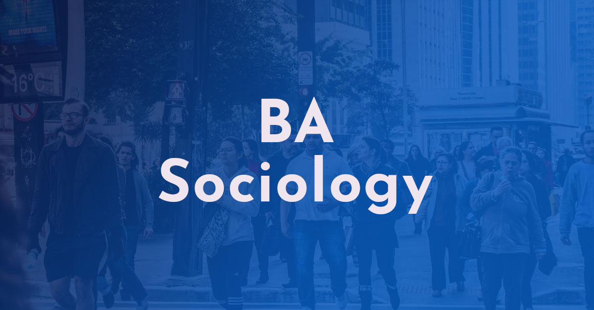 BA SOCIOLOGY Course DashScholar