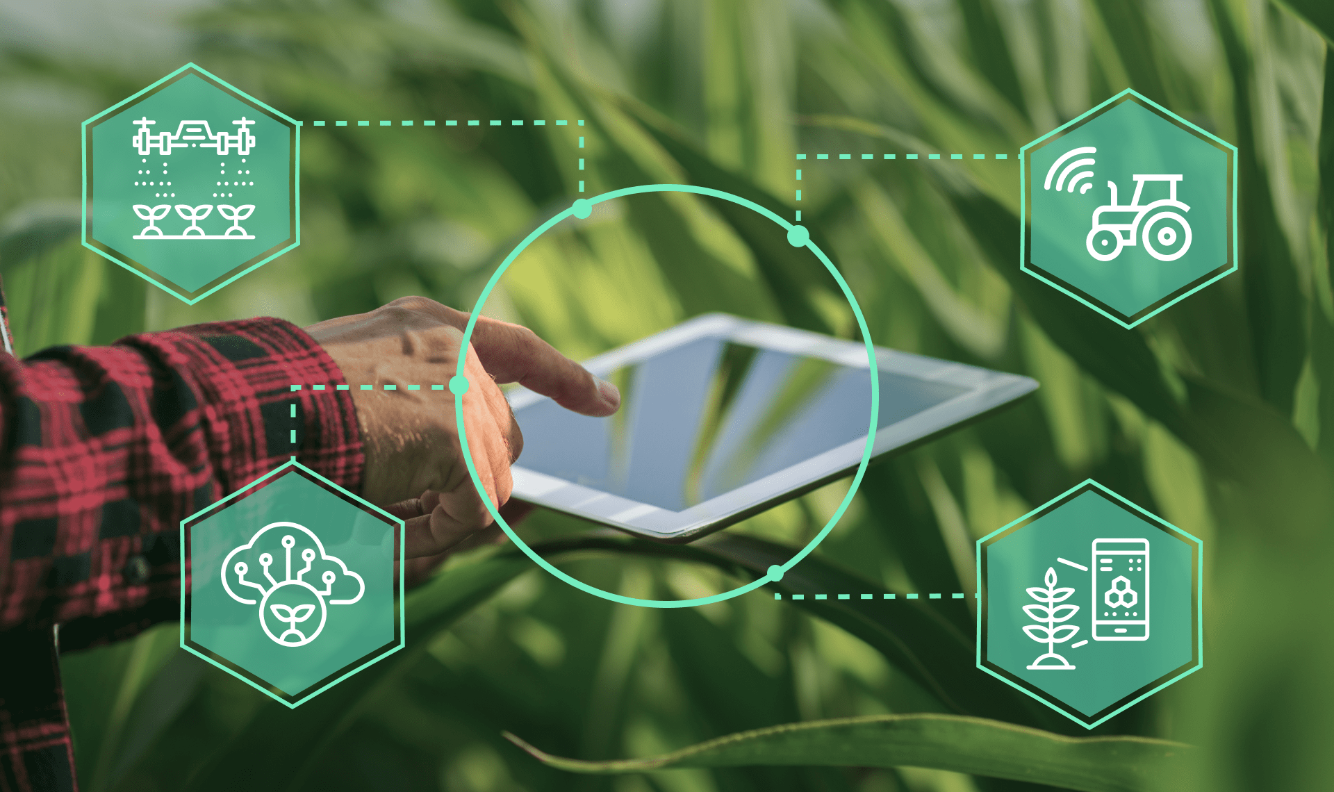 IoT May Revolutionize The Agricultural Sector Requirements