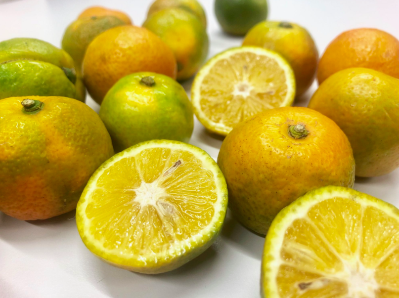 Das Pauli Magazin GemüseMarktbericht 19. Dezember Kreuzung von