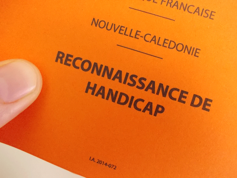 Pain Points Liés À La Carte De Reconnaissance FAQ usagers Direction des Affaires Sanitaires et Sociales de