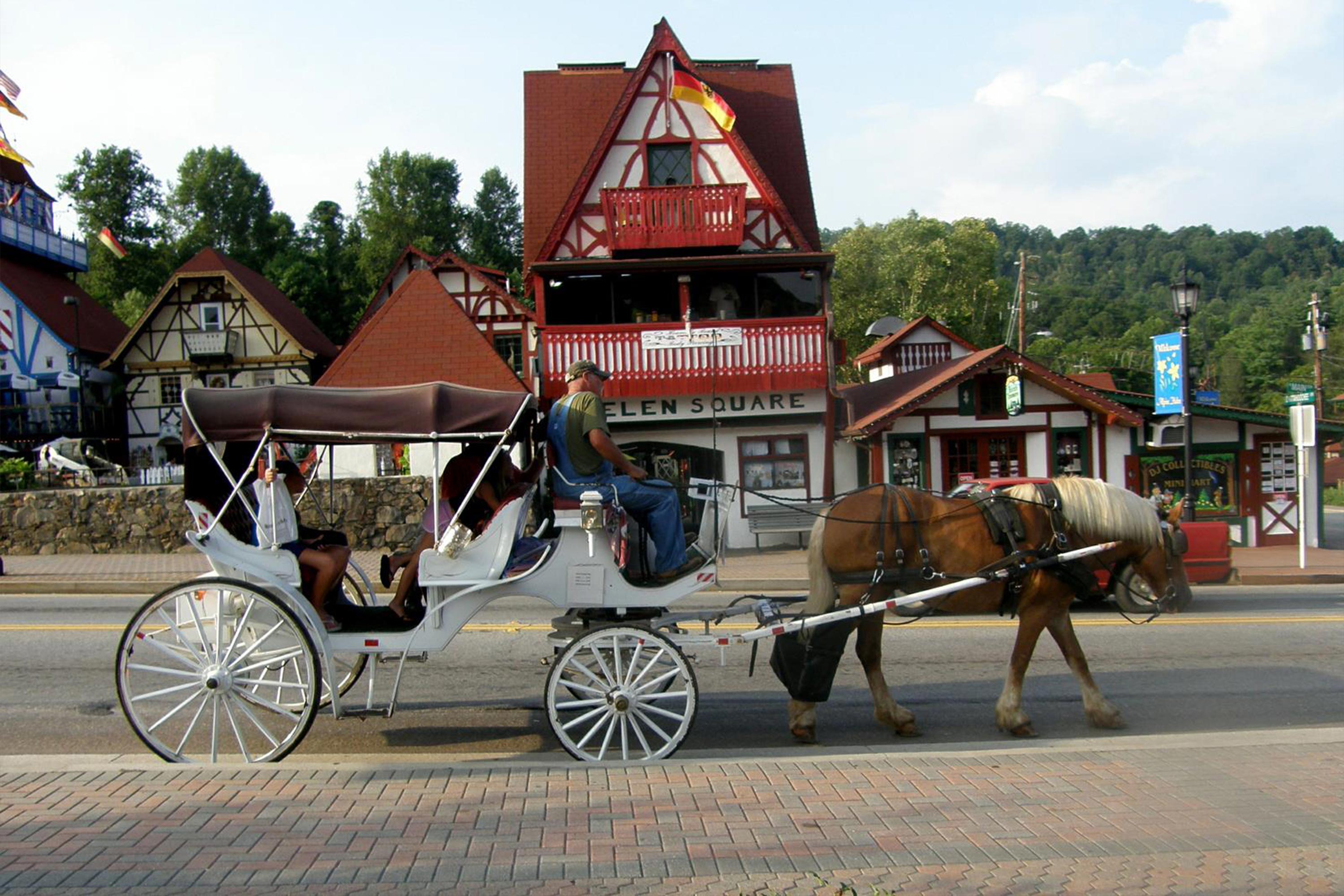 Das Tulip condo rental in Helen Vacation Rental with webcam of