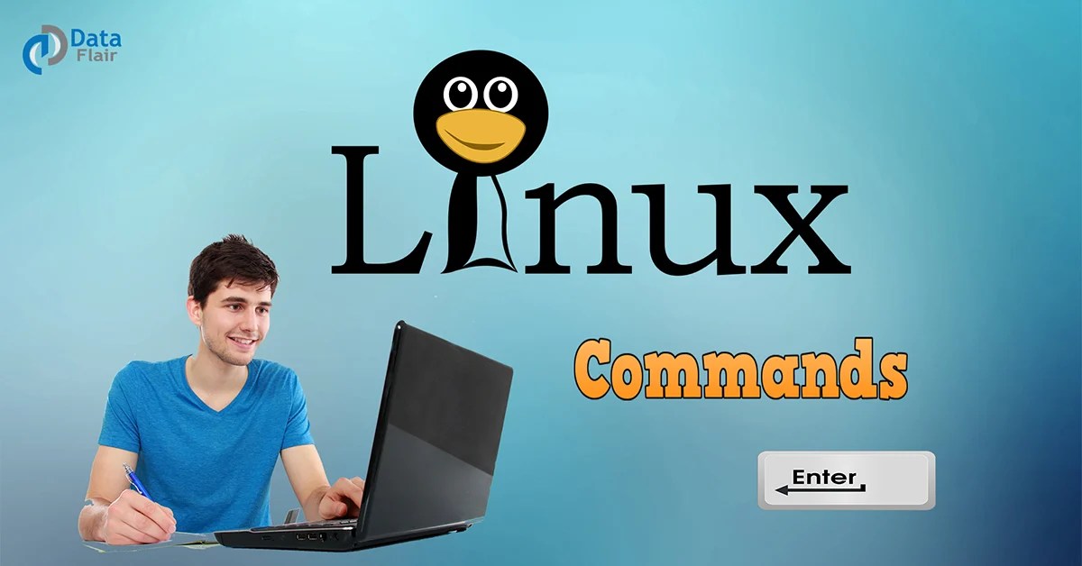 Linux Commands Tutorial 15 Most Frequently Used DataFlair