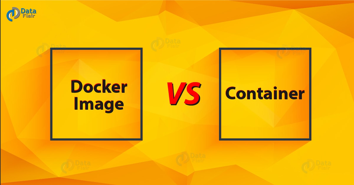 Docker Image vs Container Point Out The Differences DataFlair