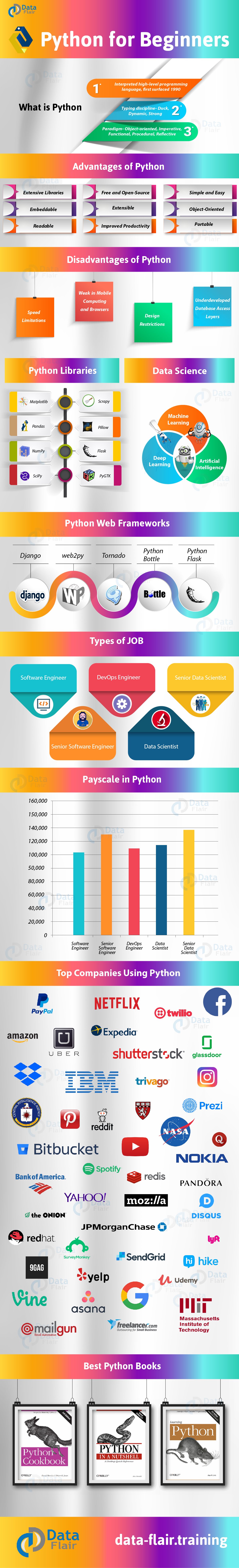Python Infographic A Complete Learning Path for Beginners DataFlair