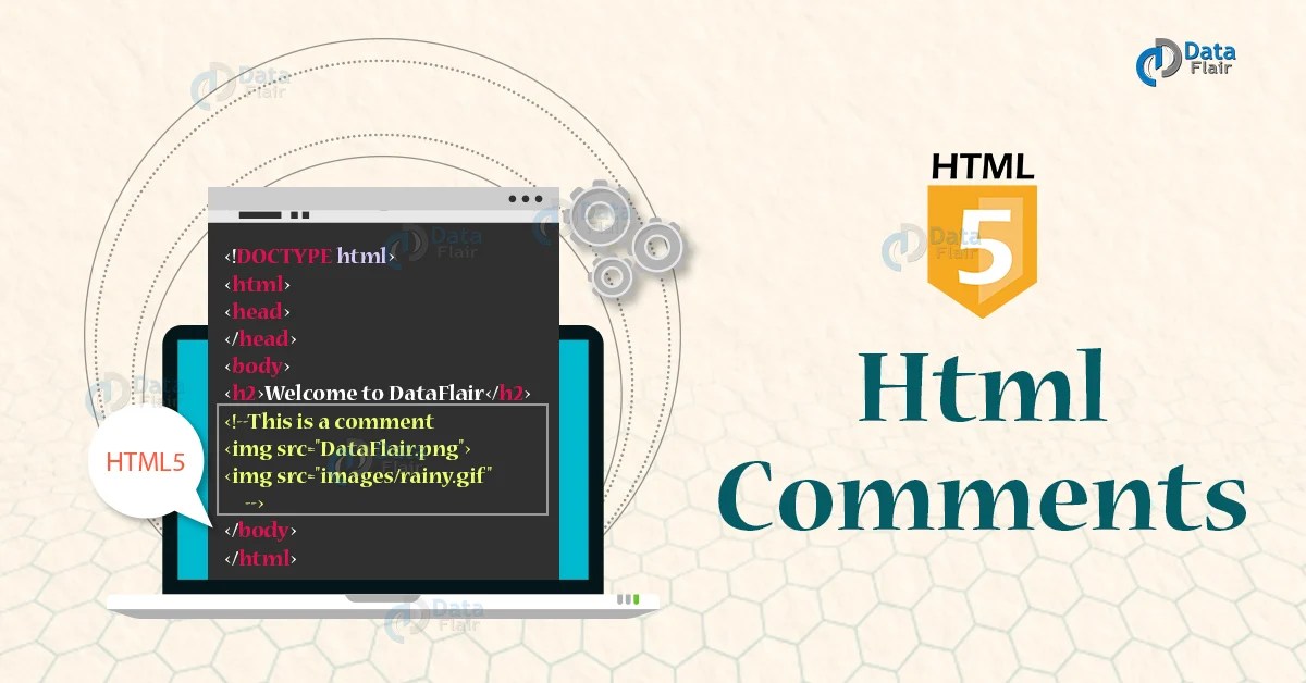 HTML Comments Types and Examples DataFlair