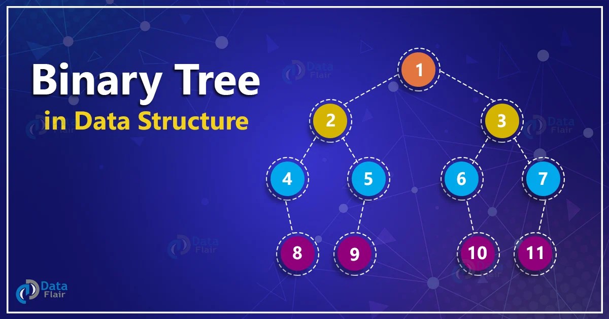 Binary Tree Data Structure DataFlair