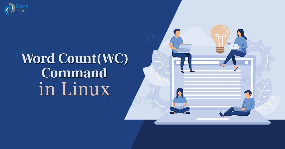 WC Command in Linux DataFlair